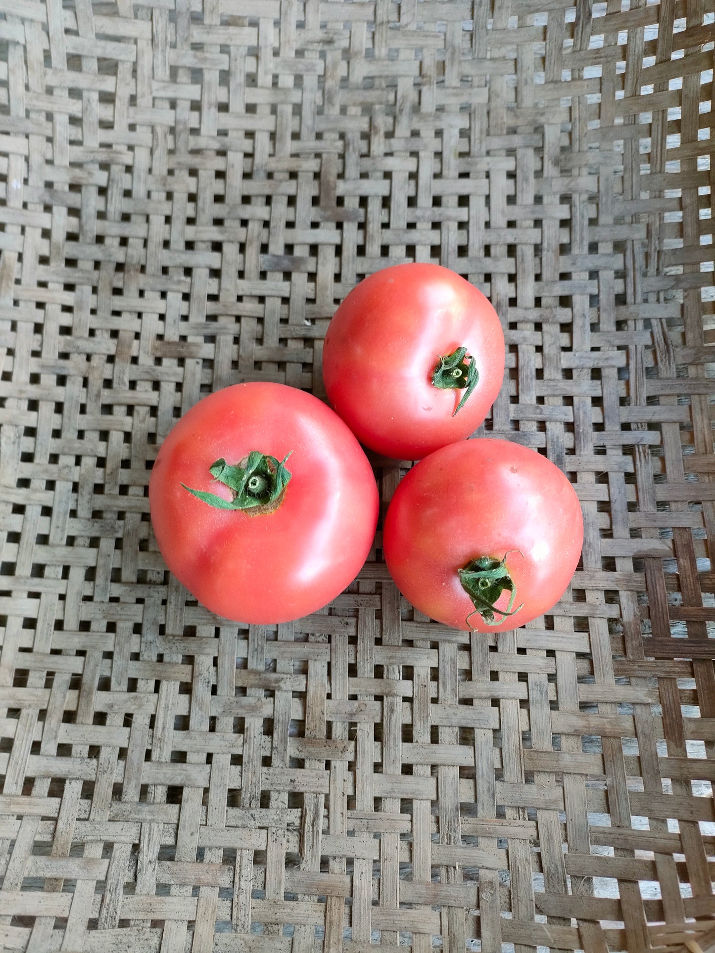 tomatoes - regular, bag