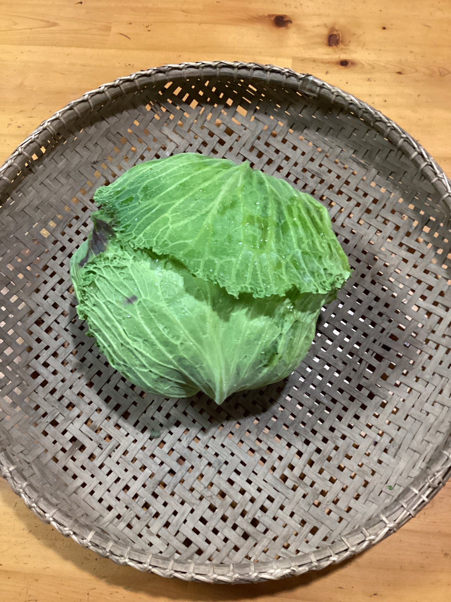 cabbage, head