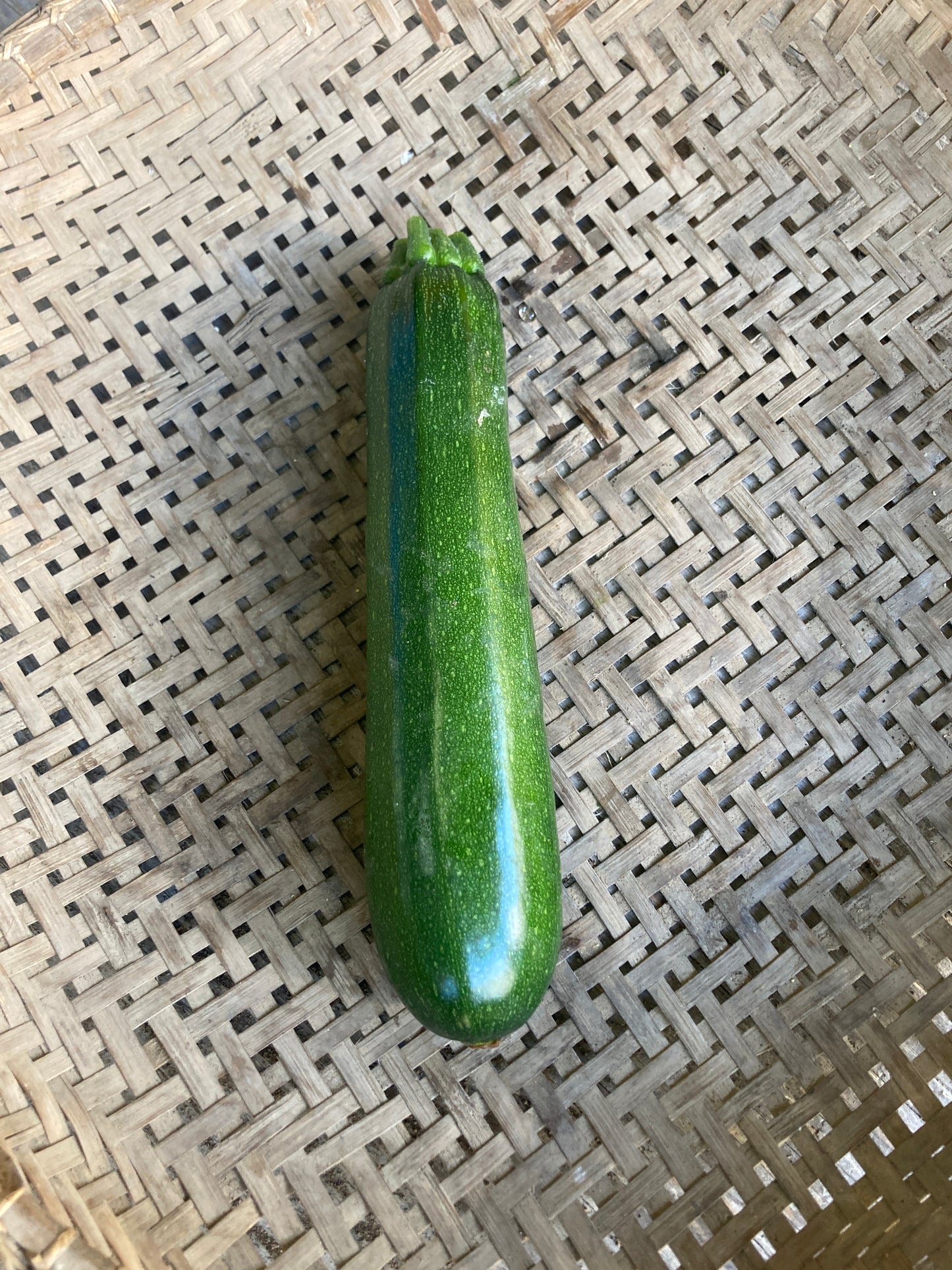 zucchini, piece