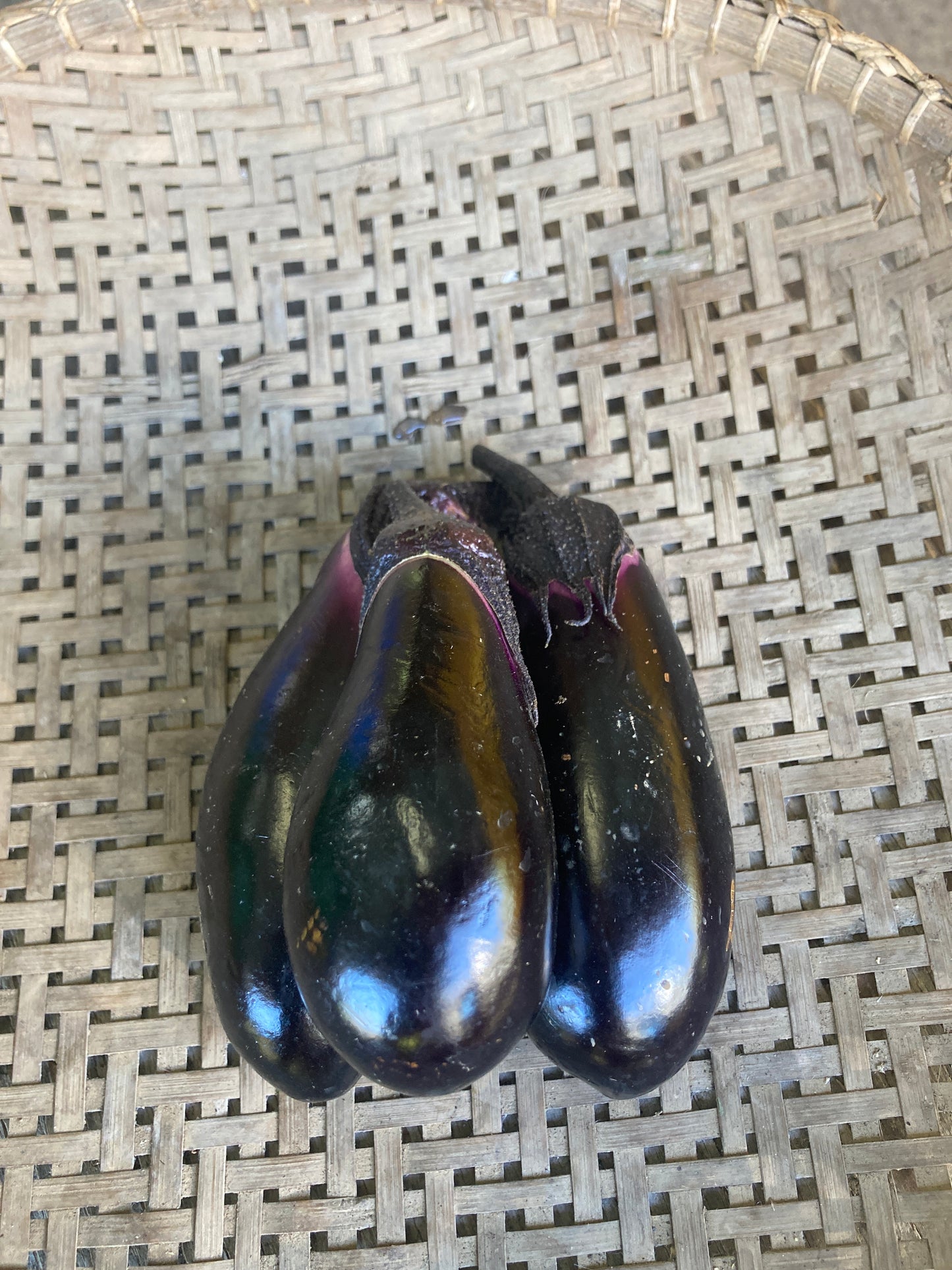 eggplants, bag
