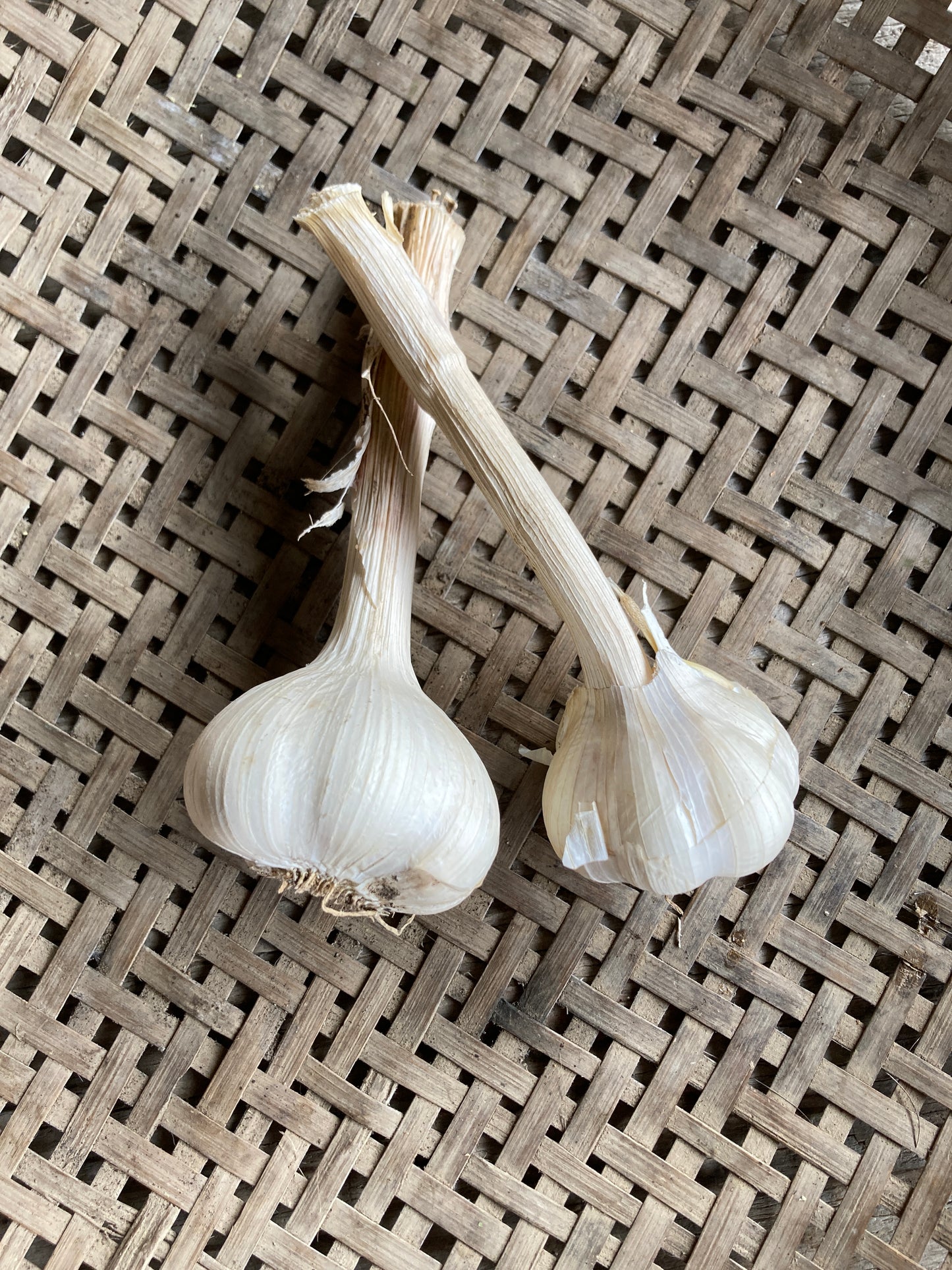 garlic, 100g