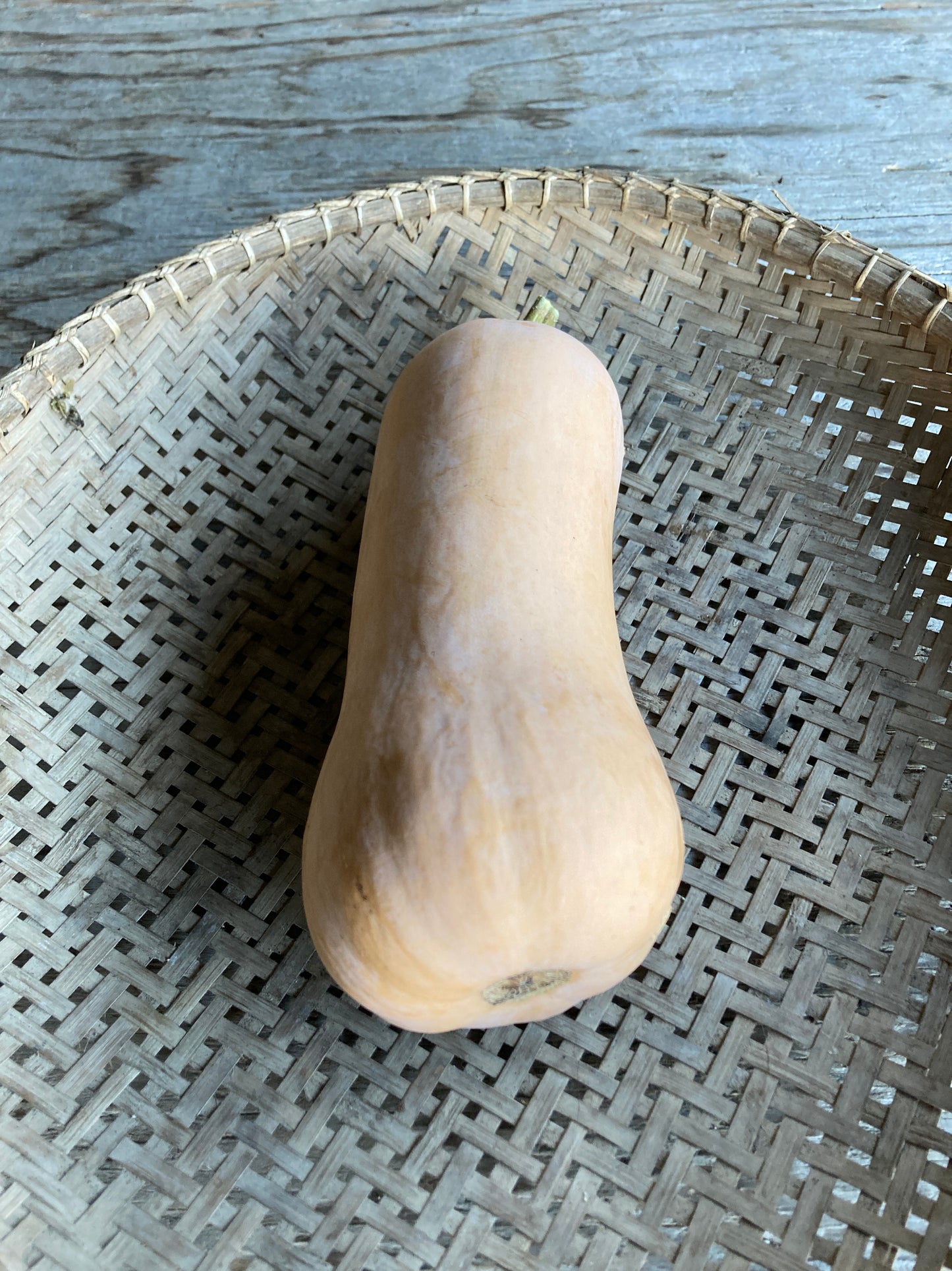 butternut squash