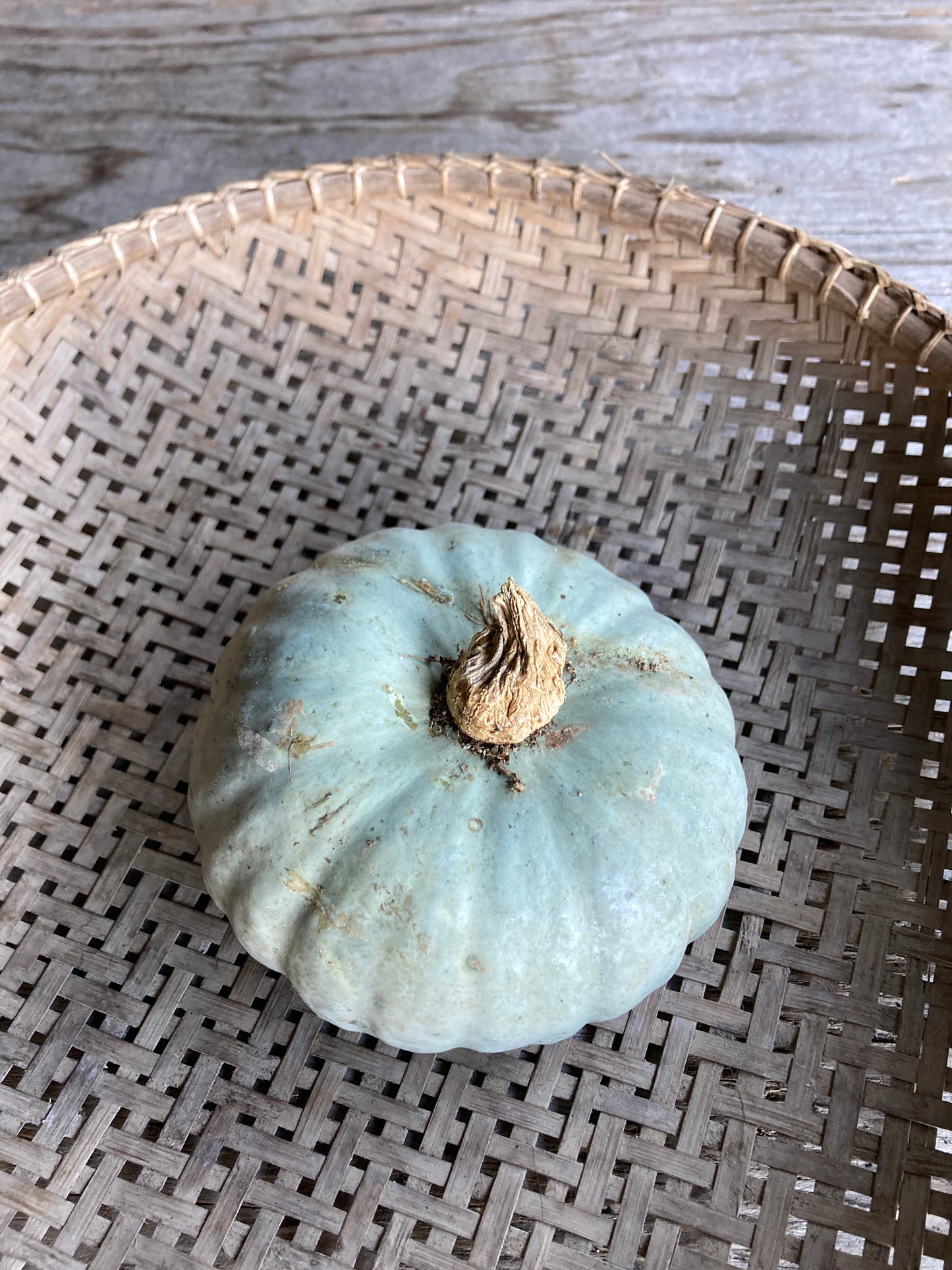 kabocha pumpkin