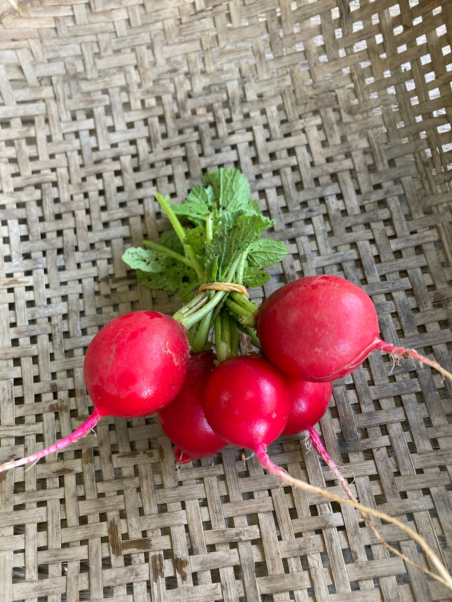 radish, bunch