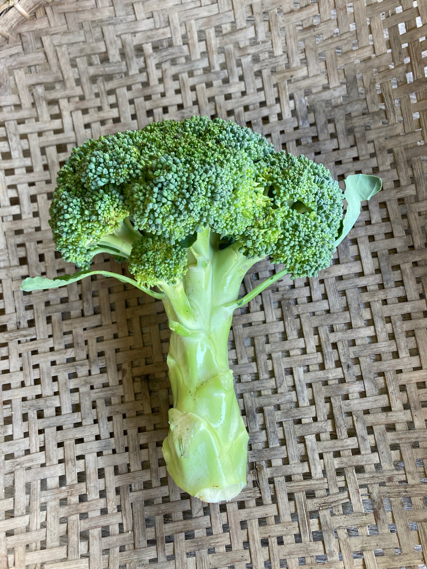 broccoli, head