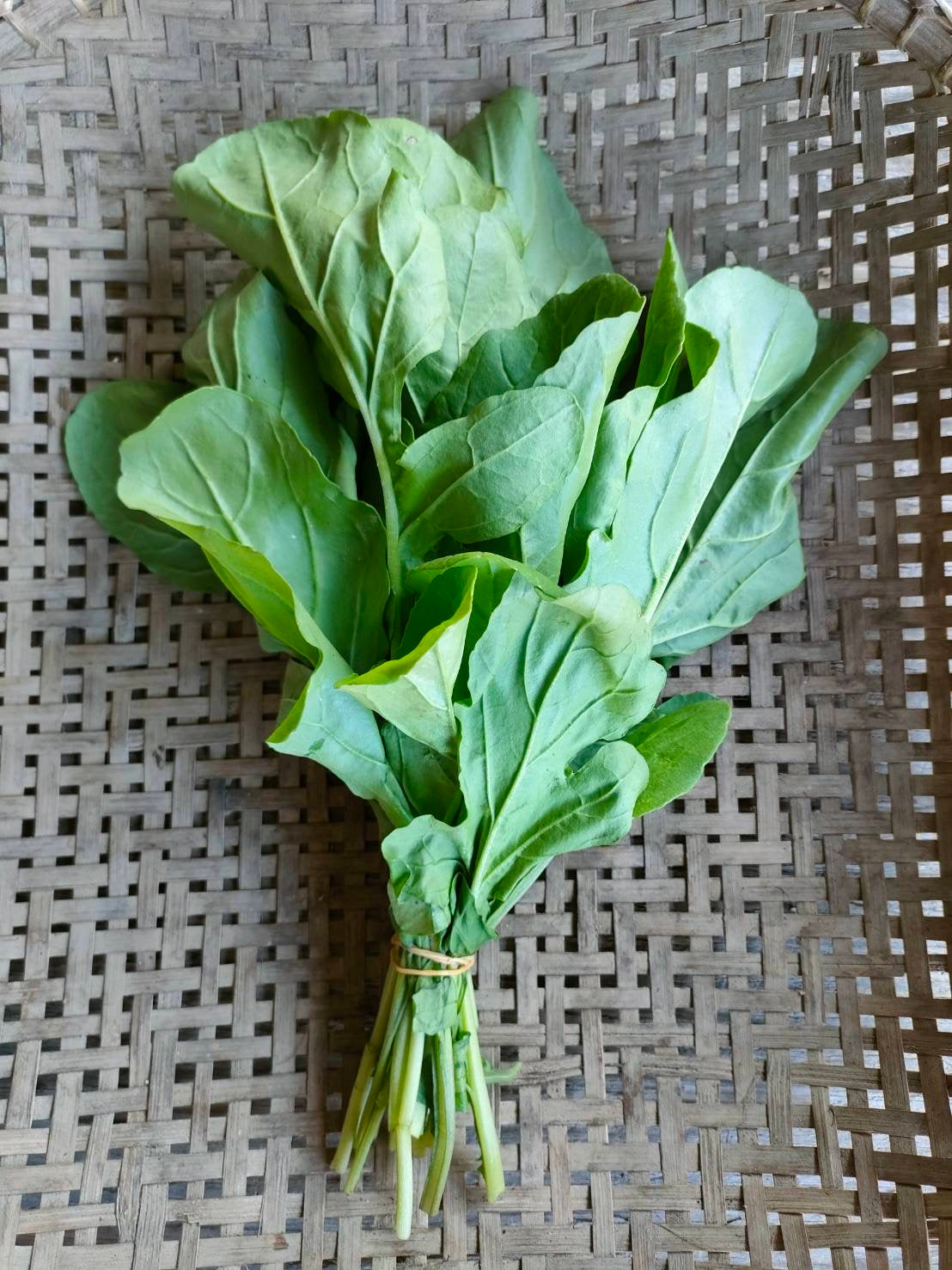 arugula, bunch