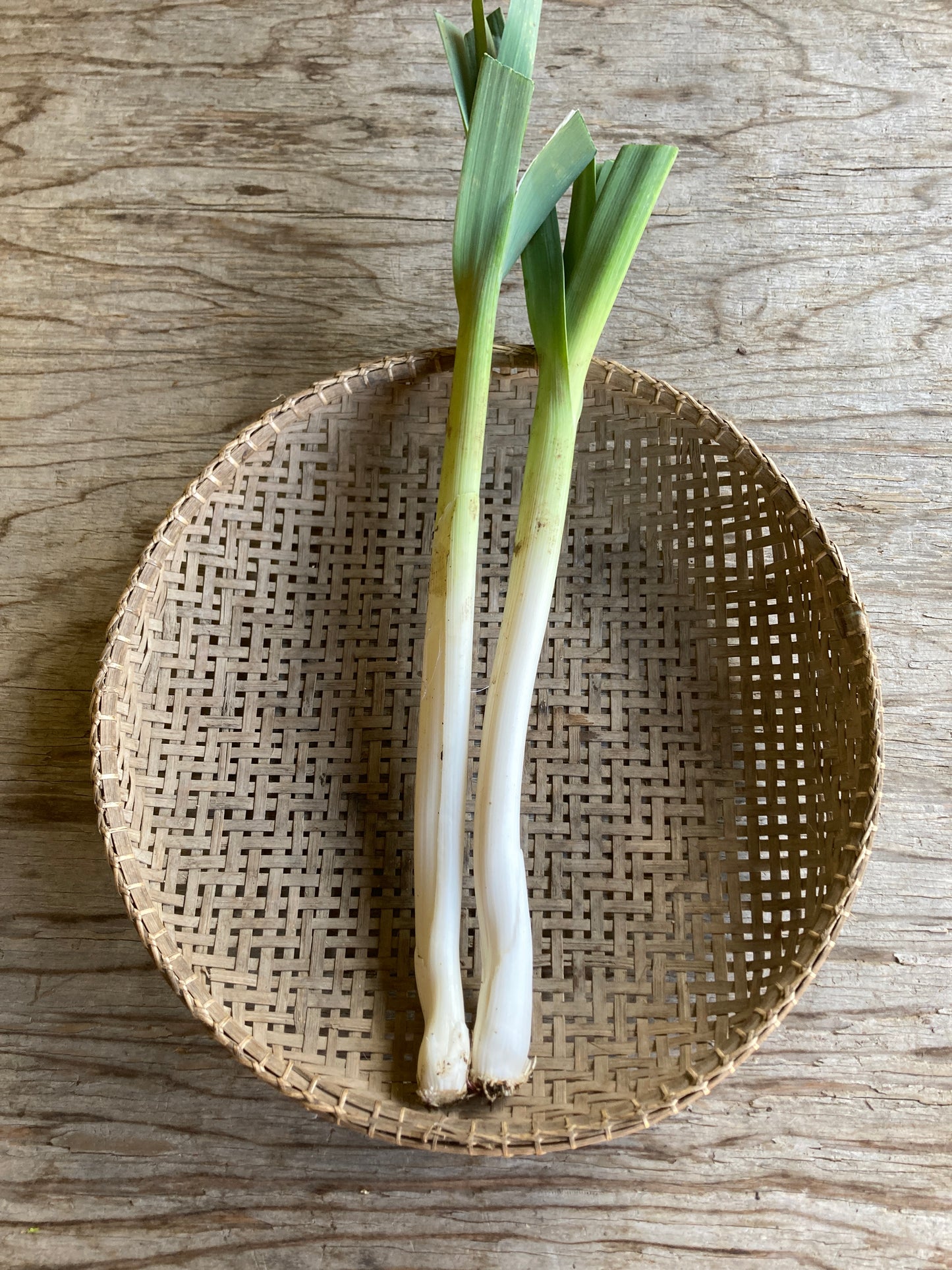 leeks, bunch