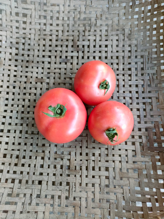 tomatoes - regular, bag
