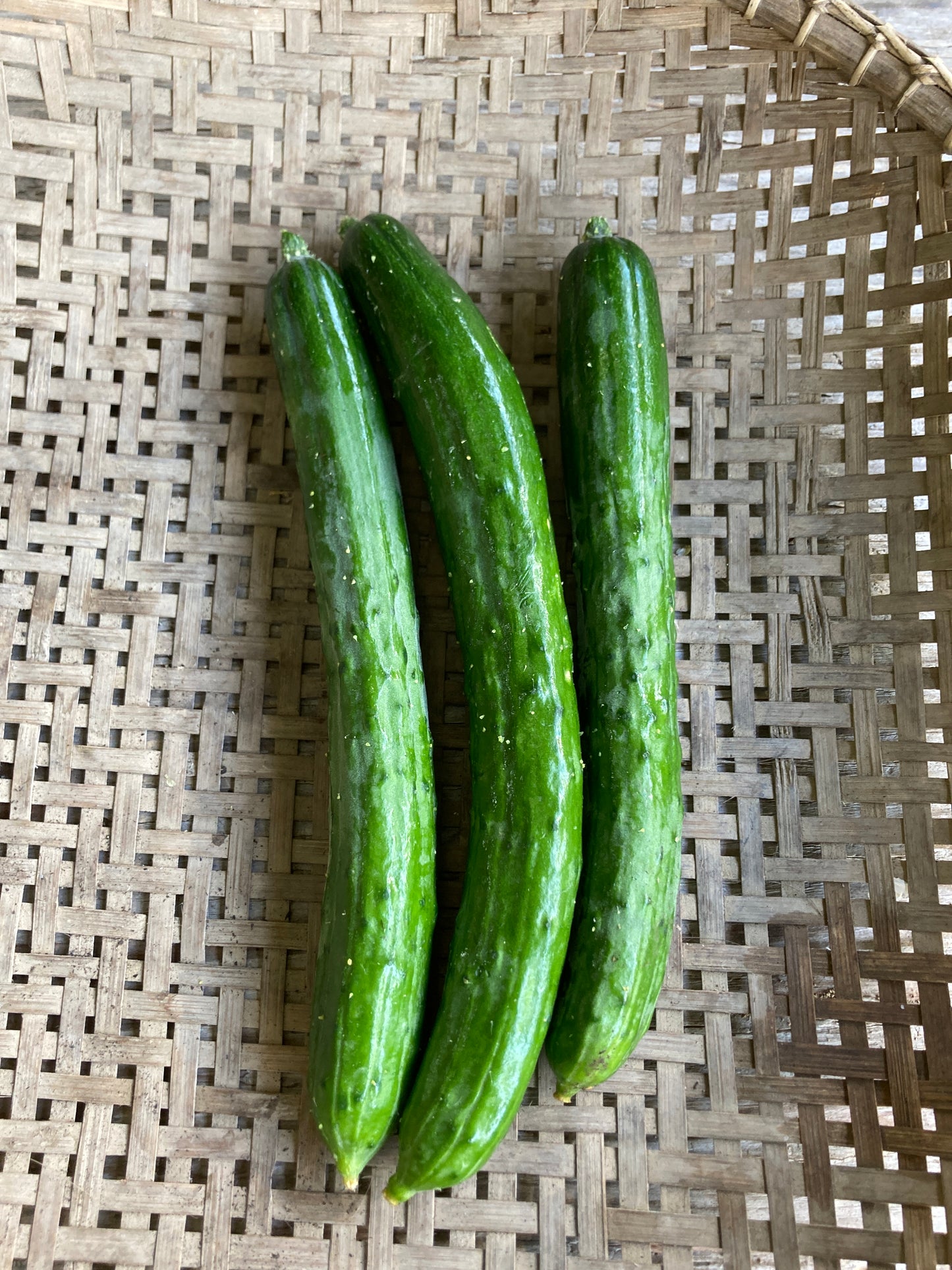 cucumbers, bag