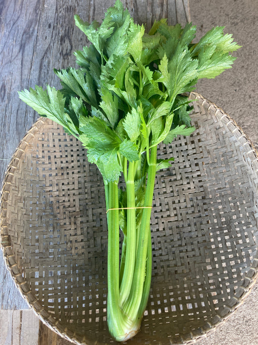 celery, bunch