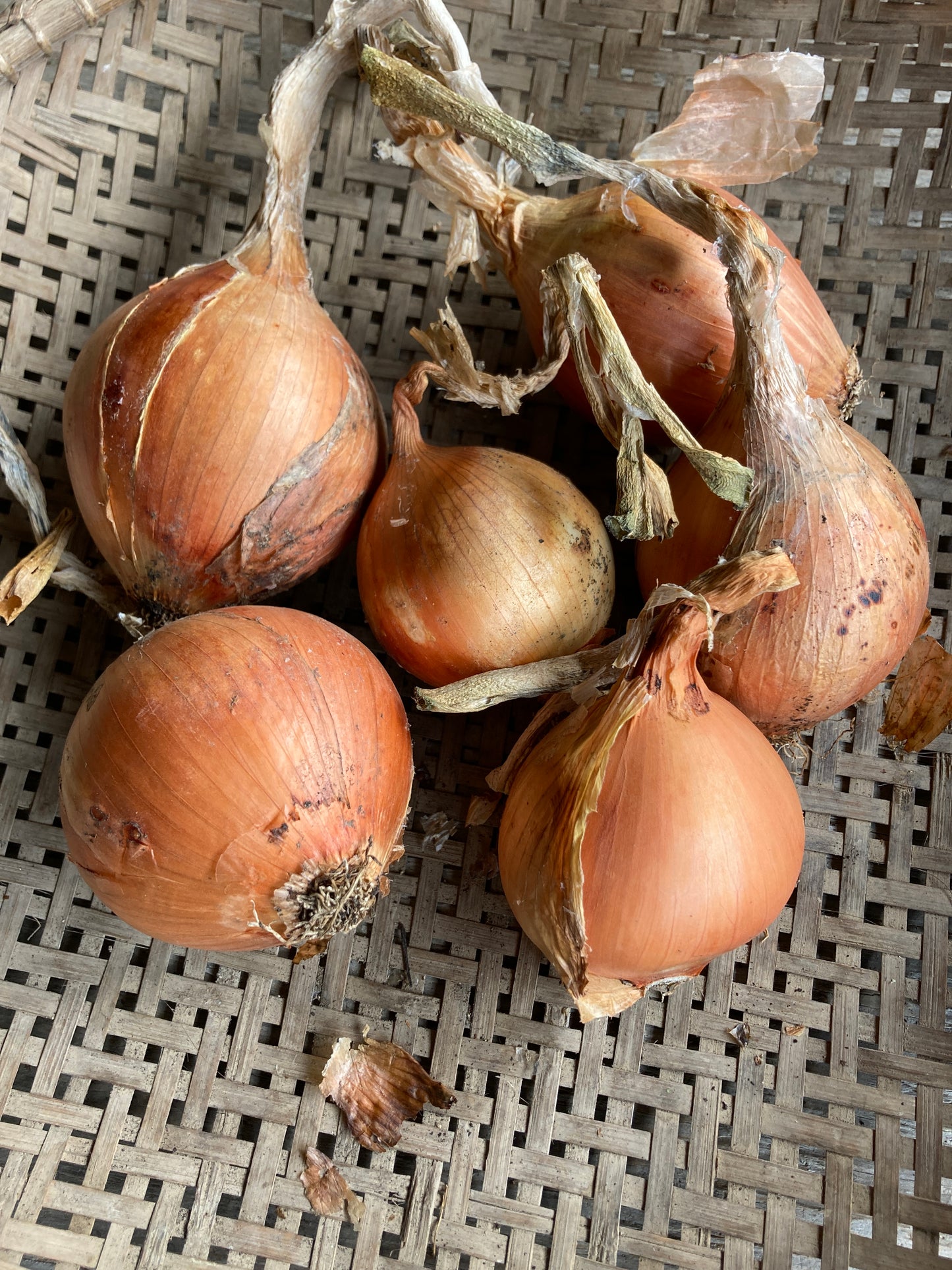 onions, 1kg