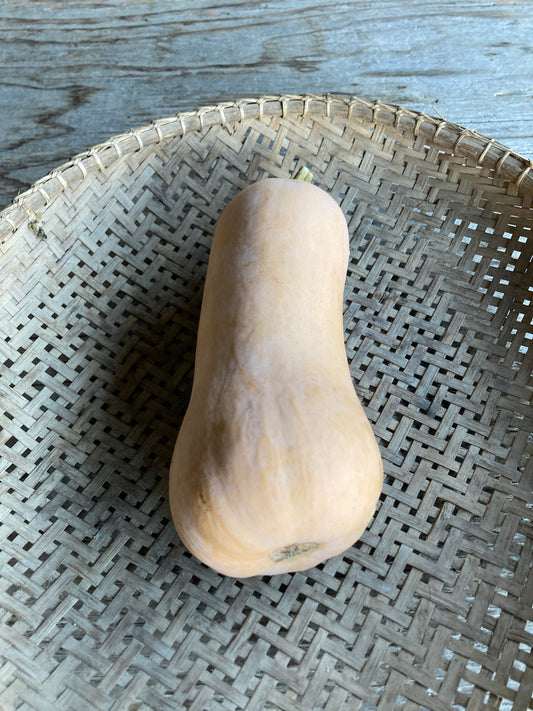 butternut squash