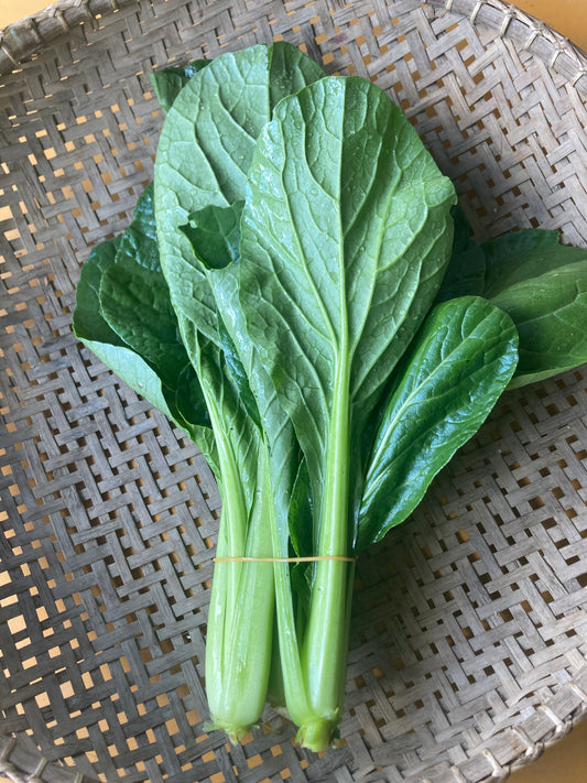 komatsuna greens, bunch