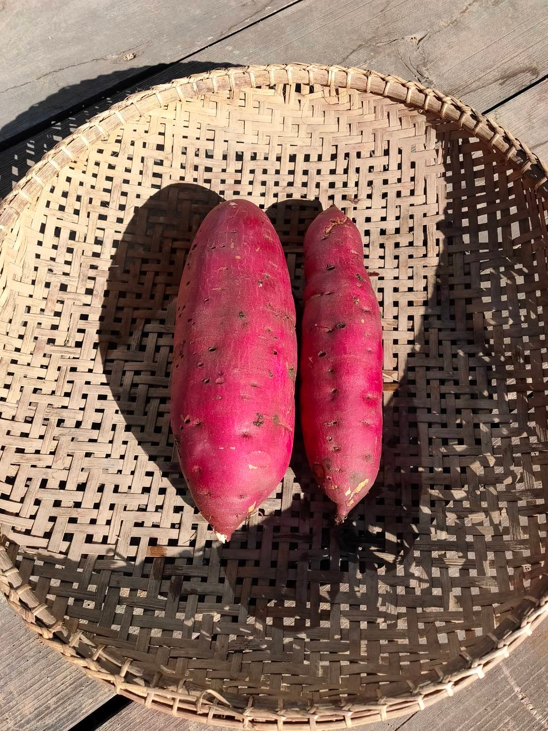 sweet potatoes, kg (Beniharuka)