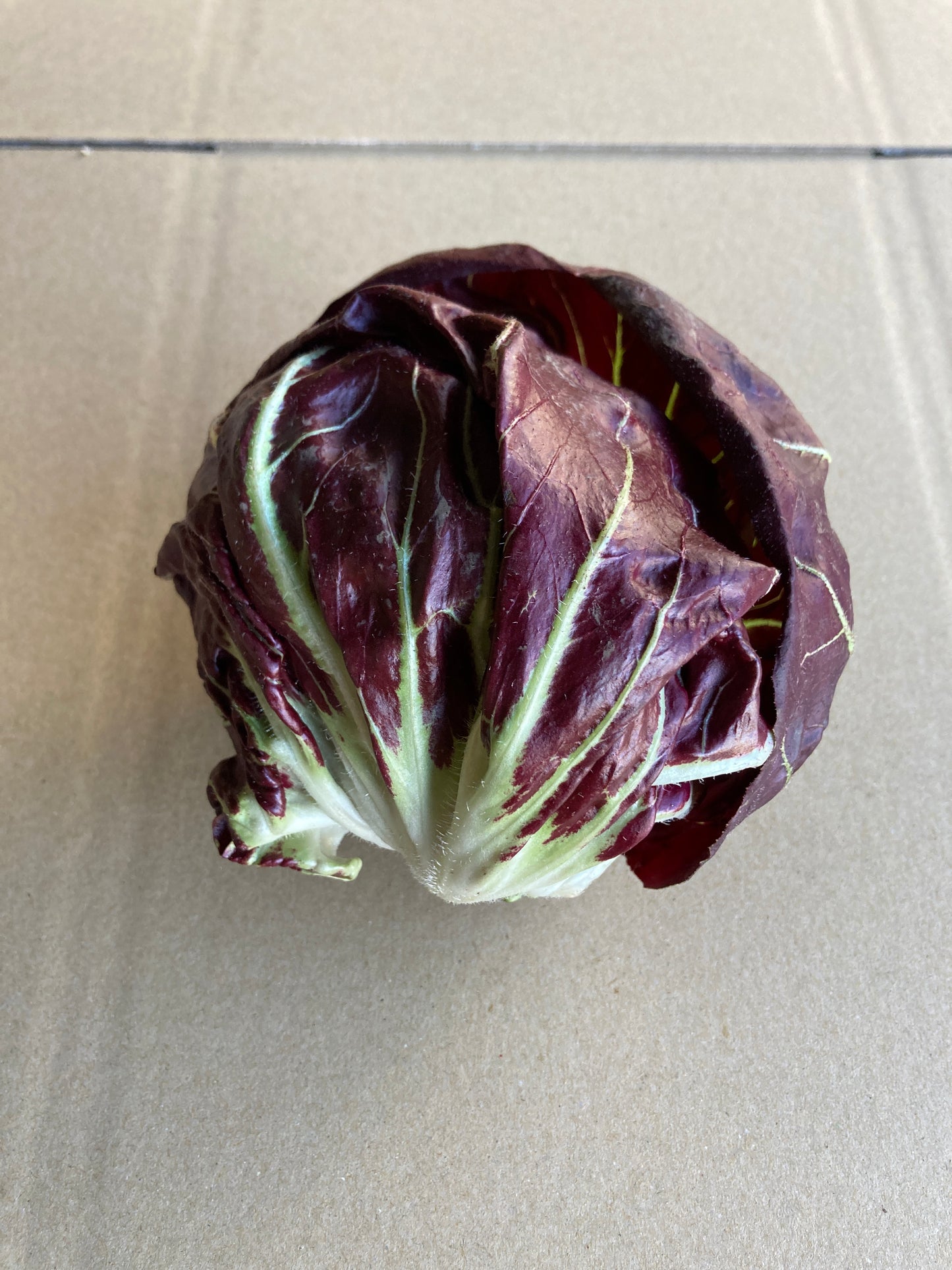 treviso lettuce/radicchio, head