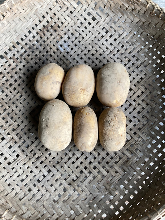potatoes (koganemaru), bag