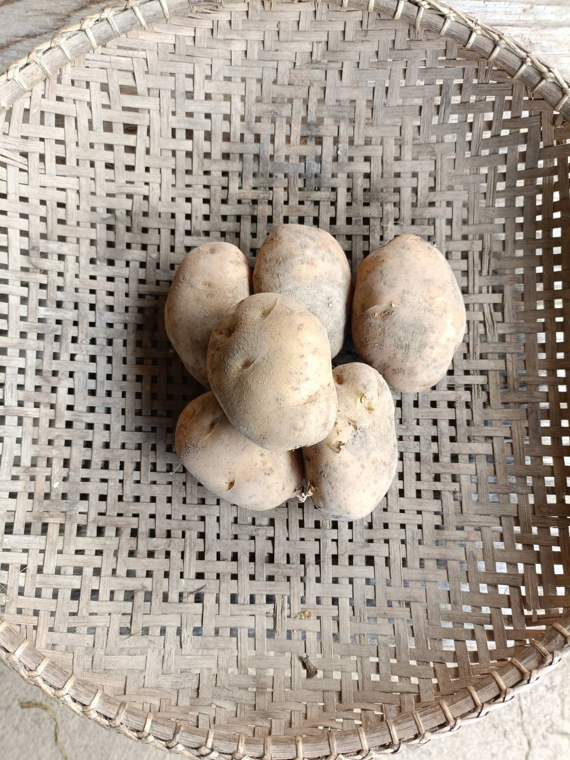 potatoes (toyoshiro), bag